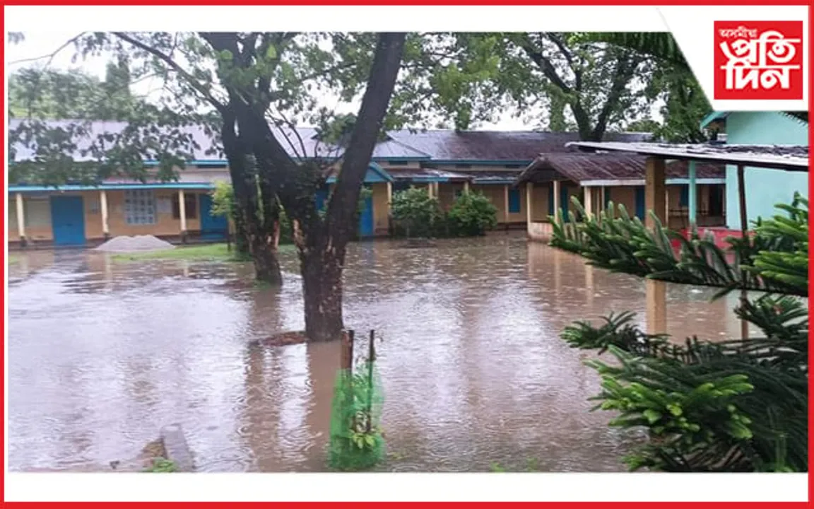 কৃত্ৰিম বানৰ কবলত ওদালগুৰিৰ কেইবাটাও ৱাৰ্ড...